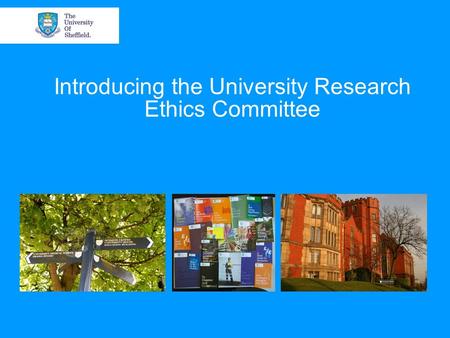 Introducing the University Research Ethics Committee.