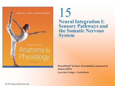 15 Neural Integration I: Sensory Pathways and the Somatic Nervous System.