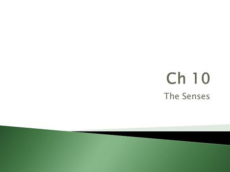 The Senses.  Somatic – general senses; located all over the body ◦ Pain ◦ Touch ◦ Pressure ◦ Temperature  Special – associated with one area of the.