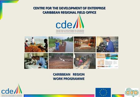 CENTRE FOR THE DEVELOPMENT OF ENTERPRISE CARIBBEAN REGIONAL FIELD OFFICE CARIBBEAN REGION WORK PROGRAMME.