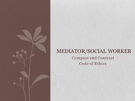 Mediator/Social Worker