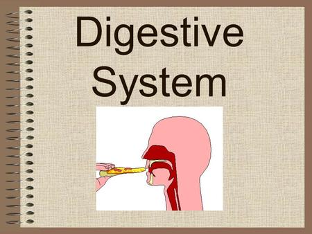 Digestive System. Purpose: –To break down food into useable molecules to be carried to the cells via our blood A.Mouth B.Esophagus C.Stomach D.Small Intestines.