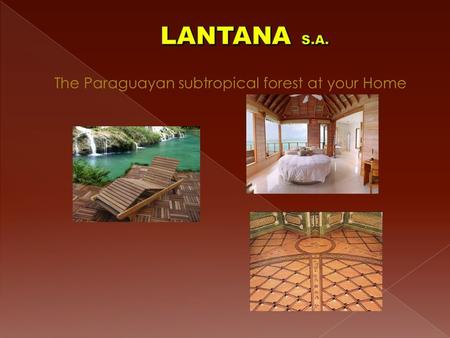 The Paraguayan subtropical forest at your Home