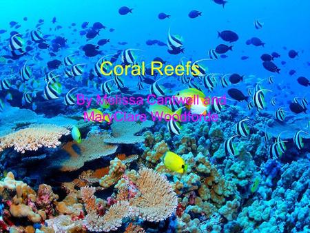 Coral Reefs By Melissa Cantwell and MaryClare Woodforde.