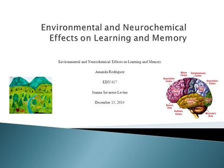 Environmental and Neurochemical Effects on Learning and Memory Amanda Rodriguez EDU 417 Joanna Savarese-Levine December 15, 2014.