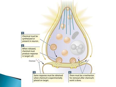 some controversy…….. Muscarinic agonists – Muscarine.