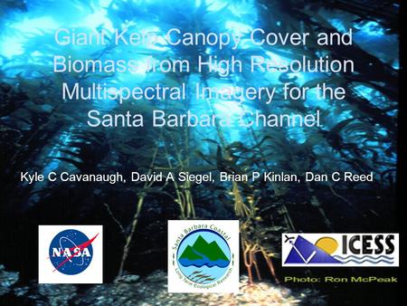 Giant Kelp Canopy Cover and Biomass from High Resolution Multispectral Imagery for the Santa Barbara Channel Kyle C Cavanaugh, David A Siegel, Brian P.