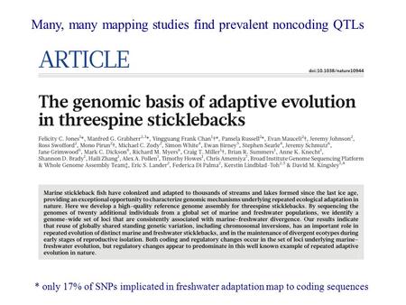 * only 17% of SNPs implicated in freshwater adaptation map to coding sequences Many, many mapping studies find prevalent noncoding QTLs.