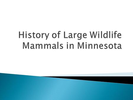  White-tailed deer  Mule deer  Moose  Elk  Woodland caribou  Bison  Pronghorn antelope  Black bear  Gray wolf  Bobcat.