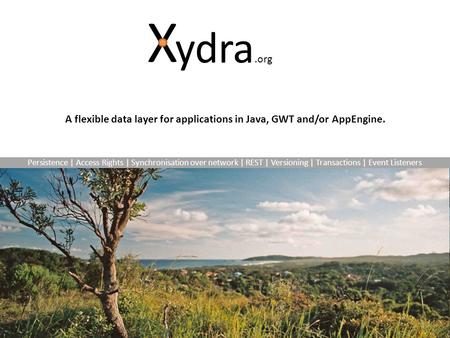 Vision and Goals A flexible data layer for applications in Java, GWT and/or AppEngine. Persistence | Access Rights | Synchronisation over network | REST.