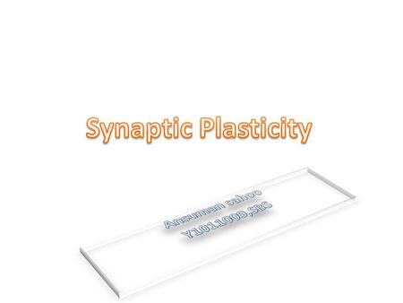 synaptic plasticity is the ability of the connection, or synapse, between two neurons to change in strength in response to either use or disuse of transmission.