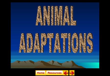 Animal Adaptations (31.1 & 31.2) State Standard