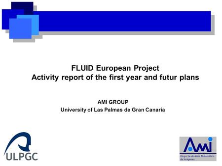 AMI GROUP University of Las Palmas de Gran Canaria FLUID European Project Activity report of the first year and futur plans.