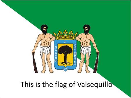 This is the flag of Valsequillo. Town Hall This is the town hall in the center of the town just behind the church. Front of the Town Hall are some flags.