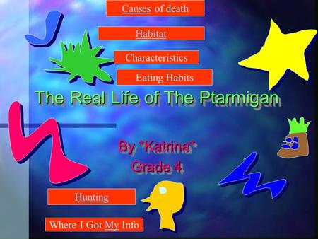 The Real Life of The Ptarmigan By *Katrina* Grade 4 By *Katrina* Grade 4 Causes of death Habitat Characteristics Eating Habits Hunting Where I Got My Info.