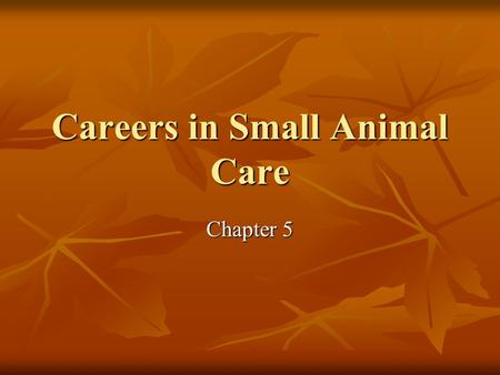 Careers in Small Animal Care Chapter 5. Introduction $20.3 billion/year $20.3 billion/year $11 billion/year (vet) $11 billion/year (vet) $9 billion/year.