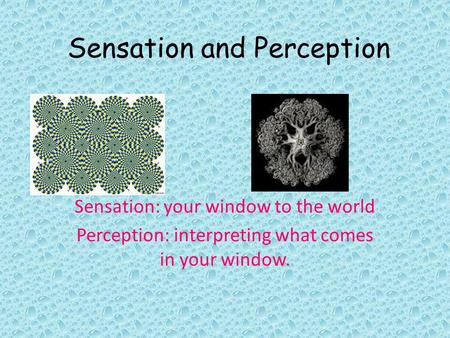 Sensation and Perception Sensation: your window to the world Perception: interpreting what comes in your window.