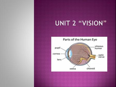 Vision Those of us fortunate enough to have good vision usually consider information from vision to be more essential than our other senses, no other.