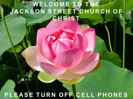 WELCOME TO THE JACKSON STREET CHURCH OF CHRIST PLEASE TURN OFF CELL PHONES.