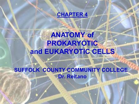 ANATOMY of PROKARYOTIC and EUKARYOTIC CELLS