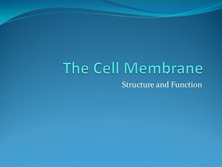 Structure and Function