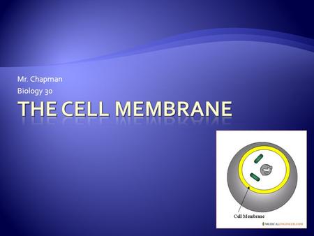 Mr. Chapman Biology 30.  Cells require protection, nutrients, water, elimination of waste, and response to stimuli.  The cell membrane performs all.