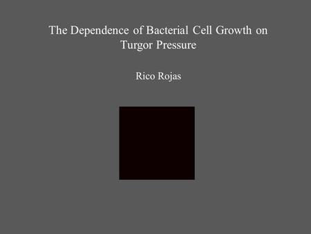 The Dependence of Bacterial Cell Growth on Turgor Pressure Rico Rojas.