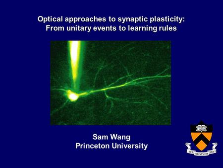 Optical approaches to synaptic plasticity: From unitary events to learning rules Sam Wang Princeton University.