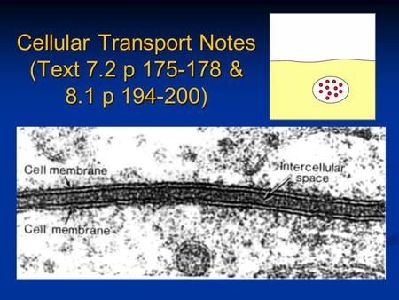 Cellular Transport Notes (Text 7.2 p 175-178 & 8.1 p 194-200)