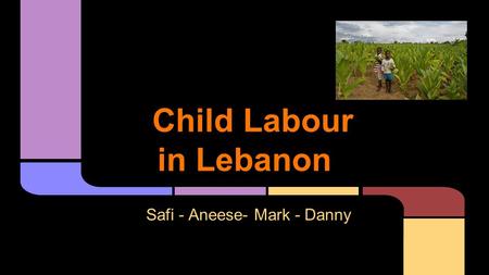 Safi - Aneese- Mark - Danny Child Labour in Lebanon.