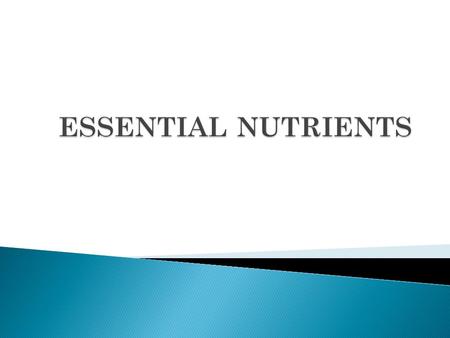 Starches and sugars that provide energy. SOURCES:  RICE  PASTA  BREADS  POTATOES  BEANS  CORN  MILK  FRUIT  HONEY.