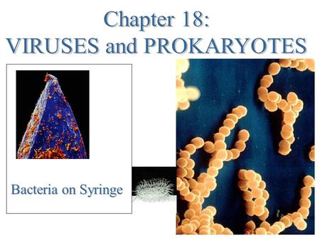 Bacteria on Syringe. Think Back List the factors of all living things: Hint: (rhymes with FROMER)