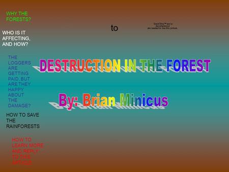 To WHY THE FORESTS? WHO IS IT AFFECTING, AND HOW? THE LOGGERS ARE GETTING PAID, BUT ARE THEY HAPPY ABOUT THE DAMAGE? HOW TO SAVE THE RAINFORESTS HOW TO.