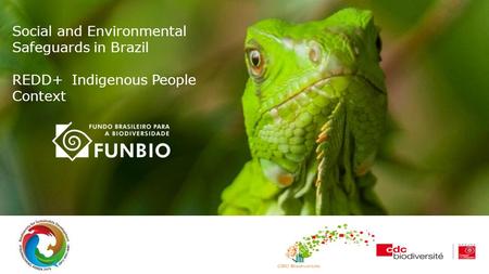 Www.fotonatural.com.br Social and Environmental Safeguards in Brazil REDD+ Indigenous People Context.