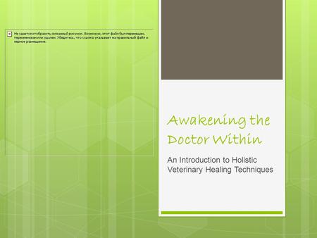 Awakening the Doctor Within An Introduction to Holistic Veterinary Healing Techniques.