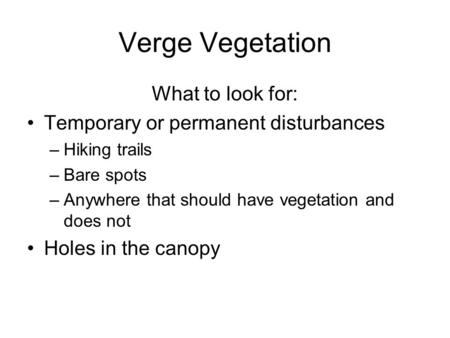 Verge Vegetation What to look for: Temporary or permanent disturbances –Hiking trails –Bare spots –Anywhere that should have vegetation and does not Holes.