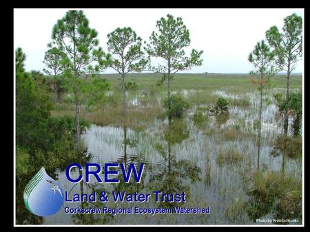 CREW Land & Water Trust Corkscrew Regional Ecosystem Watershed Photo by Brenda Brooks.