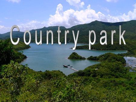 Background 23 country parks and 6 special areas occupy about 40% of the land area of Hong Kong.