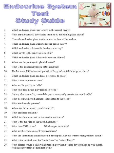 1.? 1.Which endocrine glands are located in the cranial cavity? 2.What are the chemical substances secreted by endocrine glands called? 3.Name the endocrine.