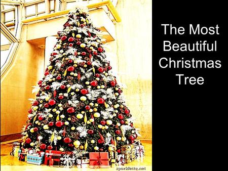 The Most Beautiful Christmas Tree. Note: Any videos in this presentation will only play online. After you download the slideshow, you will need to also.