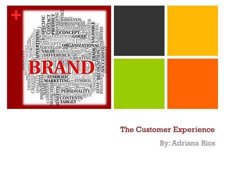 + The Customer Experience By: Adriana Rios. + Executive Summary Brand Overview Purpose Represent brand(s) that do/do not provide an excellent customer.