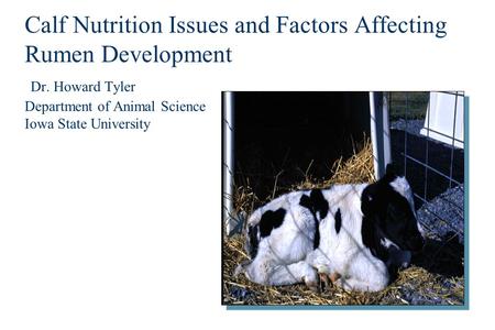 Calf Nutrition Issues and Factors Affecting Rumen Development Dr