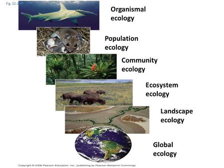 Fig. 52-2 Organismal ecology Population ecology Community ecology Ecosystem ecology Landscape ecology Global ecology.