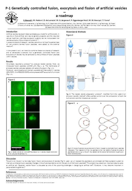 P-1 Genetically controlled fusion, exocytosis and fission of artificial vesicles E. Boenzli 1, M. Hadorn 1, D. de Lucrezia 2, M. G. Jørgensen 3, P. Eggenberger.