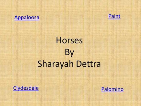 Horses By Sharayah Dettra Appaloosa Paint Clydesdale Palomino.