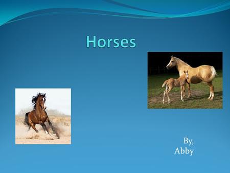 By, Abby Horse Names Foal - a baby horse less than a year old. Yearling - a young horse between the ages of one and two. Colt - a male horse less then.