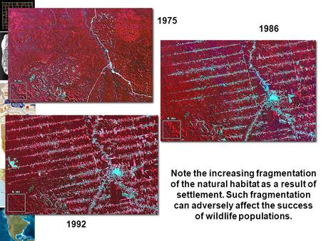 Note the increasing fragmentation of the natural habitat as a result of settlement. Such fragmentation can adversely affect the success of wildlife populations.