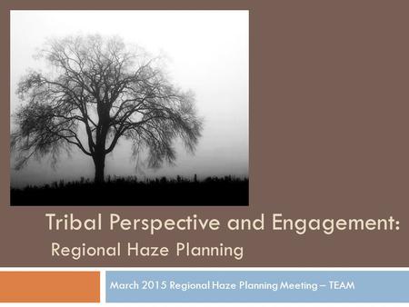 Tribal Perspective and Engagement: Regional Haze Planning March 2015 Regional Haze Planning Meeting – TEAM.