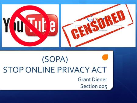 (SOPA) STOP ONLINE PRIVACY ACT Grant Diener Section 005.