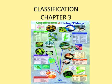 CLASSIFICATION CHAPTER 3